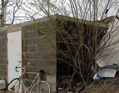 Una familia en Tennessee se salvó de un tornado al refugiarse en un búnker, mientras su hogar fue destruido.