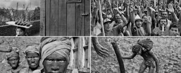 Descubre cómo Sebastião Salgado y su hijo rinden homenaje a la fotografía con una exposición única en París.