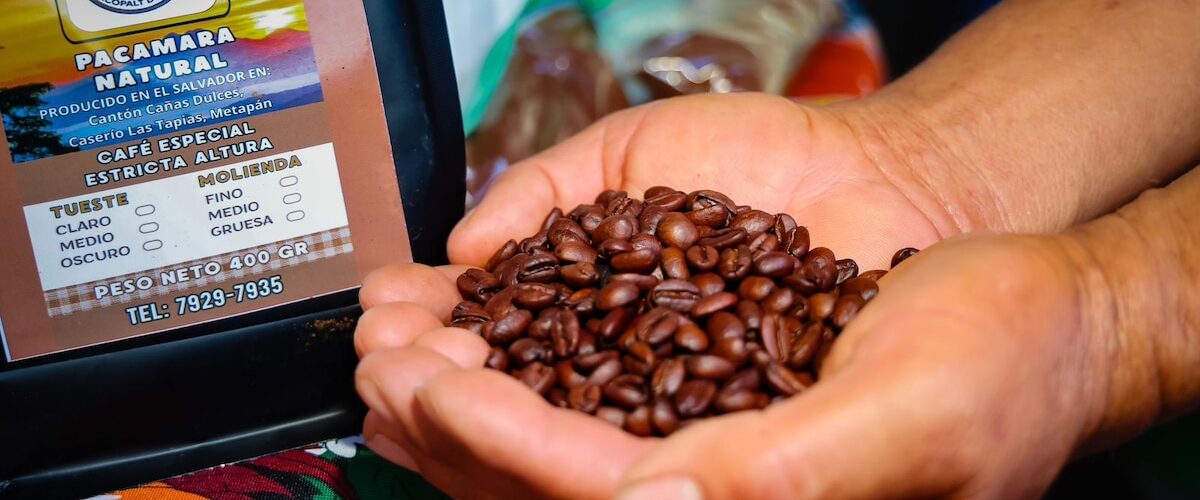 Descubre la nueva ruta que resalta el café salvadoreño y promueve la cultura agrícola y recreativa en El Salvador.