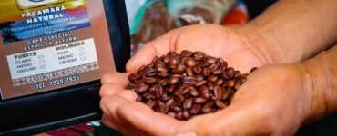 Descubre la nueva ruta que resalta el café salvadoreño y promueve la cultura agrícola y recreativa en El Salvador.