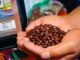 Descubre la nueva ruta que resalta el café salvadoreño y promueve la cultura agrícola y recreativa en El Salvador.