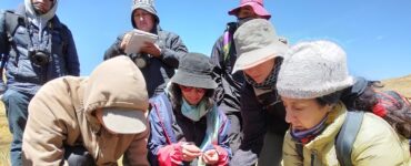 Conoce cómo Andrea Izquierdo se destaca entre las 25 mentes brillantes para enfrentar la crisis ambiental en el mundo.