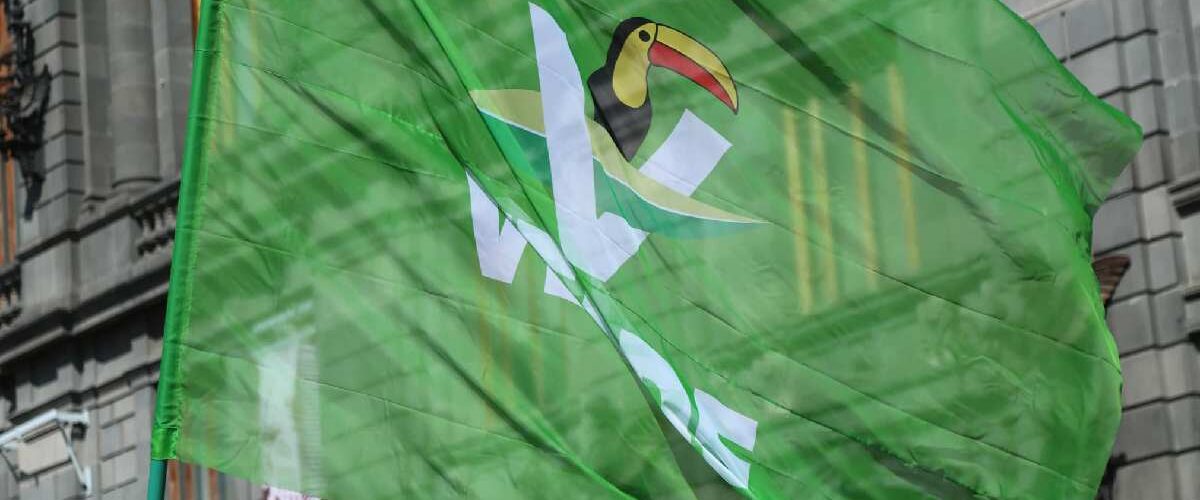 Partido Verde se alista para la contienda electoral en 2027 en CDMX