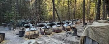 FGR desmantela narcolaboratorio en Chihuahua con toneladas de químicos