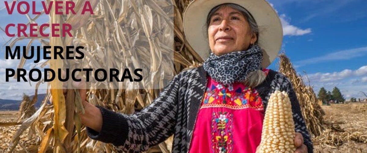 Programa Volver a Crecer apoya a productoras para recuperar capacidades