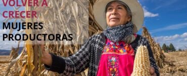Programa Volver a Crecer apoya a productoras para recuperar capacidades