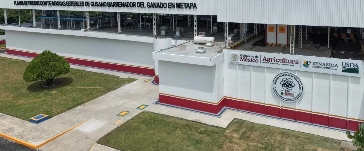 Inauguran planta para combatir gusano barrenador en Chiapas