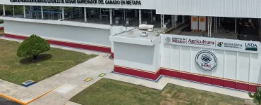 Inauguran planta para combatir gusano barrenador en Chiapas