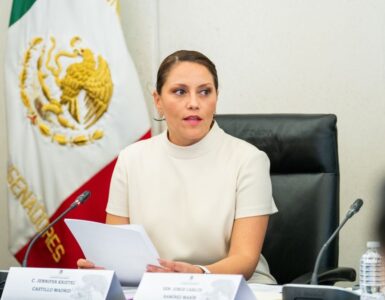Jennifer Castillo asume liderazgo en Grandes Contribuyentes para fomentar inversiones