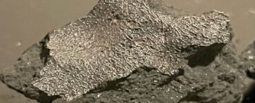 Un meteorito descubierto en Nueva Jersey podría cambiar nuestra comprensión del origen de la vida en la Tierra.