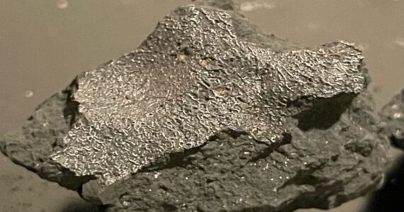 Un meteorito descubierto en Nueva Jersey podría cambiar nuestra comprensión del origen de la vida en la Tierra.