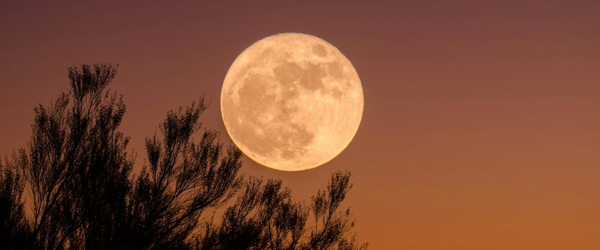 No te pierdas la Luna de Ciervo 2026 en México, conoce las fechas y horarios para presenciar este magnífico evento astronómico.