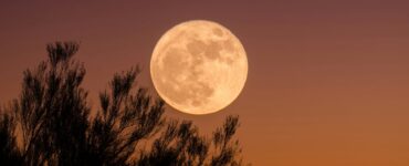 No te pierdas la Luna de Ciervo 2026 en México, conoce las fechas y horarios para presenciar este magnífico evento astronómico.