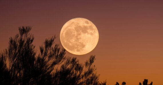 No te pierdas la Luna de Ciervo 2026 en México, conoce las fechas y horarios para presenciar este magnífico evento astronómico.