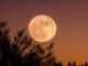 No te pierdas la Luna de Ciervo 2026 en México, conoce las fechas y horarios para presenciar este magnífico evento astronómico.