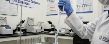 La nueva regulación del Ministerio de Agricultura busca controlar la calidad de la leche cruda en Guatemala a través de pruebas exhaustivas.