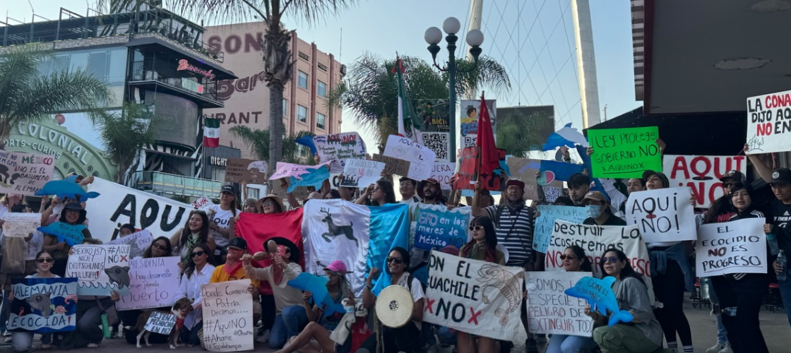 Protestas de las comunidades de Ohuira contra la planta de amoníaco en Sinaloa culminan en un cierre simbólico.