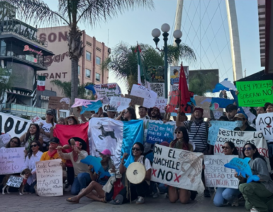 Protestas de las comunidades de Ohuira contra la planta de amoníaco en Sinaloa culminan en un cierre simbólico.