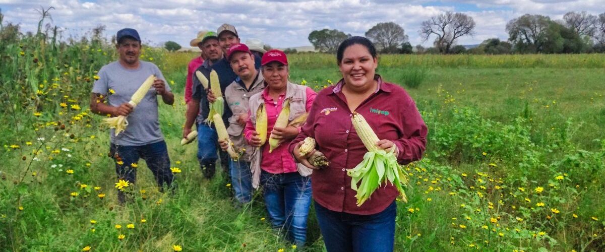 México busca reducir la inseguridad alimentaria según la FAO