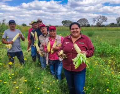 México busca reducir la inseguridad alimentaria según la FAO