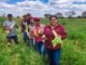 México busca reducir la inseguridad alimentaria según la FAO
