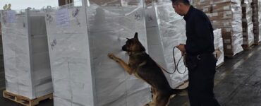 Decomisan grandes cantidades de metanfetamina y fentanilo en Tijuana