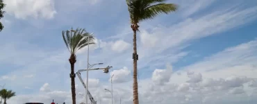 El huracán Polo tocó tierra en Baja California Sur como categoría 2, generando preocupación entre la población local.