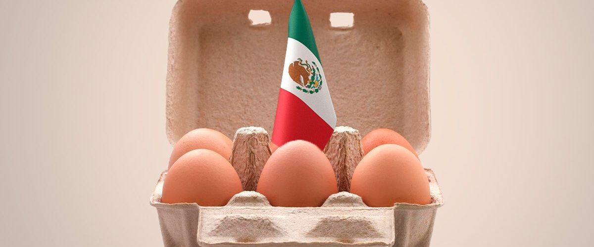 En el Día Mundial del Huevo, México destaca como el líder global en consumo con cifras sorprendentes.