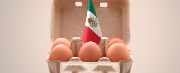 En el Día Mundial del Huevo, México destaca como el líder global en consumo con cifras sorprendentes.