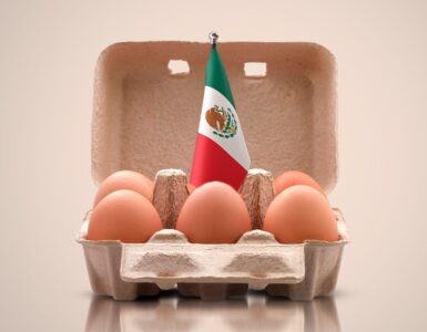 En el Día Mundial del Huevo, México destaca como el líder global en consumo con cifras sorprendentes.